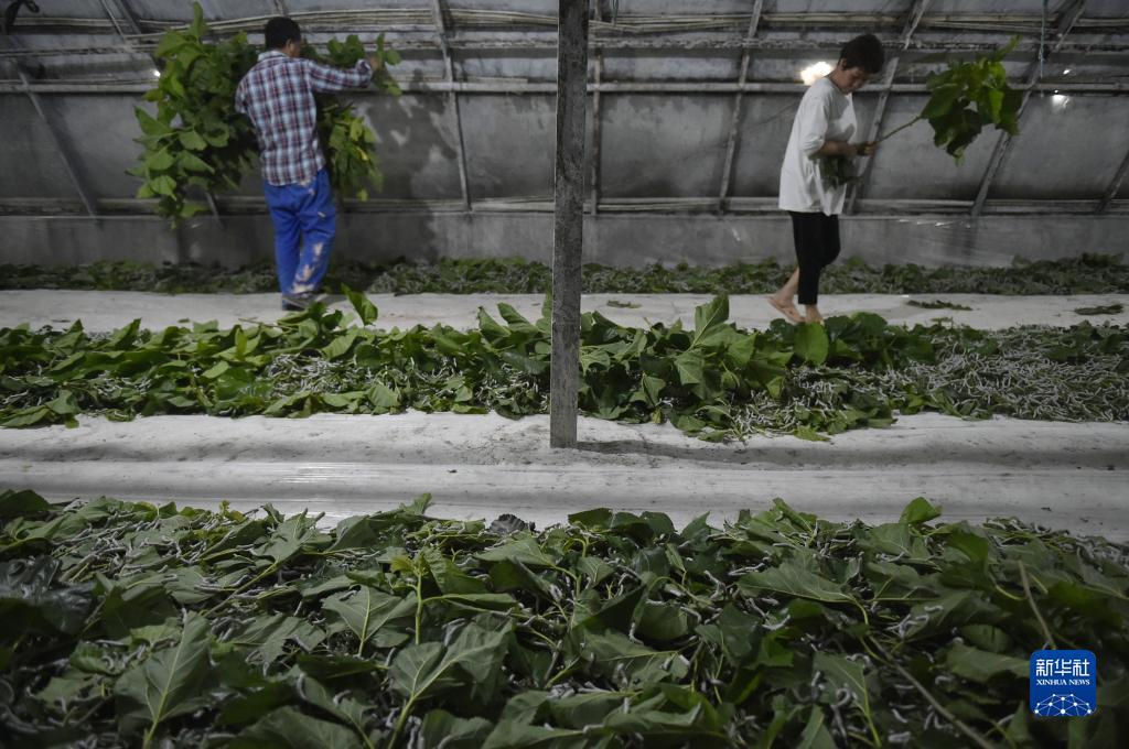 金沙娱手机乐登录口